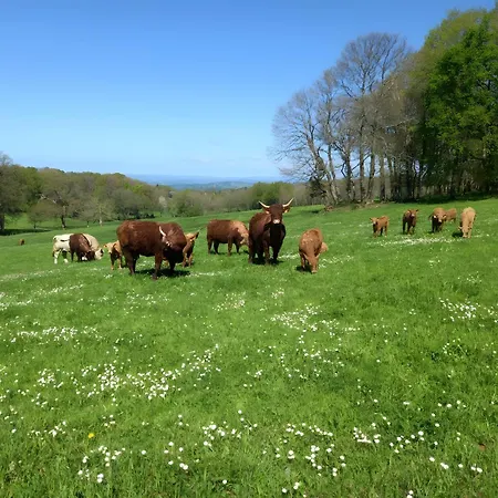 Сasa de vacaciones La Grange De Salacroup *