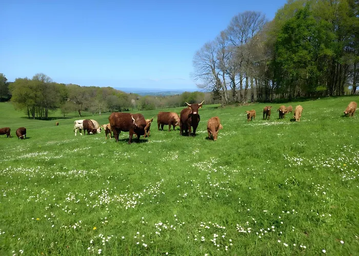 Ferienhaus La Grange De Salacroup *